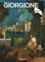 bokomslag Giorgione