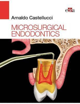 bokomslag Microsurgical Endodontics