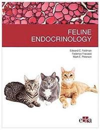 bokomslag Feline endocrinology