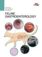 bokomslag FELINE GASTROENTEROLOGY