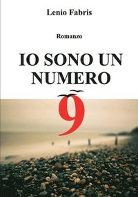 bokomslag Io sono un numero 9