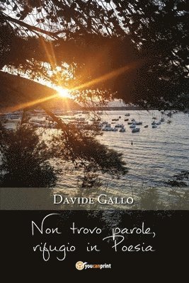 Non trovo parole, rifugio in Poesia 1