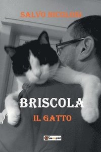 bokomslag Briscola il Gatto