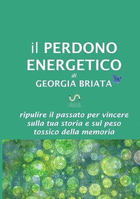 bokomslag Perdono Energetico - Ripulire il passato per vincere sulla tua storia e sul peso tossico della memoria