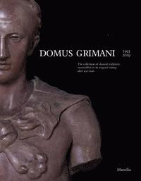 bokomslag Domus Grimani