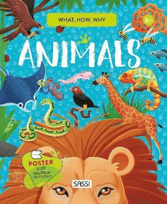 What, How, Why. Animals