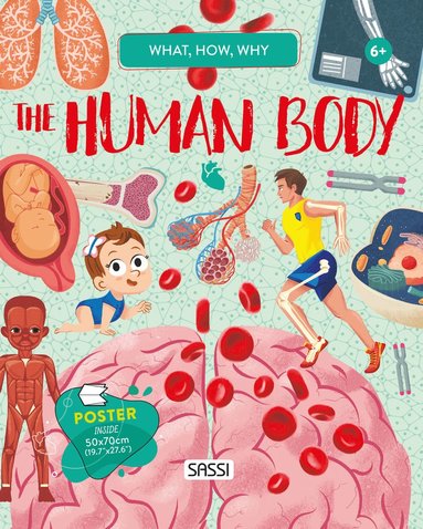 What, How, Why. The Human Body, Inbunden