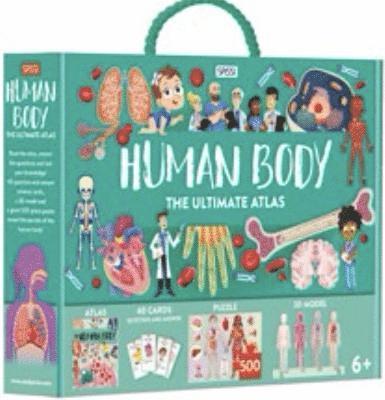 Human Body 1