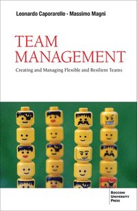 bokomslag Team Management
