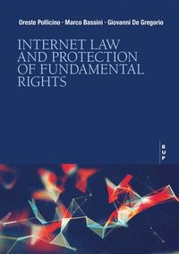 bokomslag Internet Law and Protection of Fundamental Rights