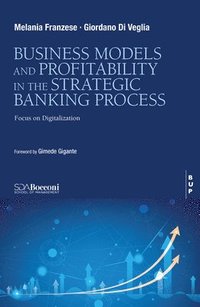 bokomslag Business Model and Profitability in the Banking Strategic Process