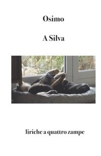 bokomslag A Silva