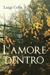 bokomslag L'amore dentro