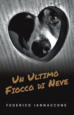 Un ultimo fiocco di neve 1