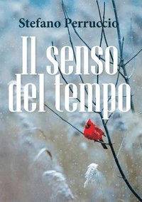 bokomslag Il senso del tempo