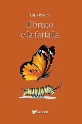 bokomslag bruco e la farfalla