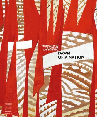 bokomslag Dawn of a Nation