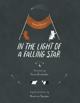 In the light of a falling star 1