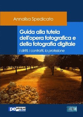 Guida alla tutela dell'opera fotografica e della fotografia digitale 1