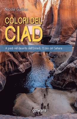 bokomslag I Colori del Ciad. A piedi nel deserto dell'Ennedi, l'Eden del Sahara