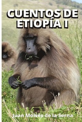 bokomslag Cuentos De Etiopia I