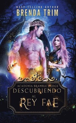 bokomslag Descubriendo al Rey Fae