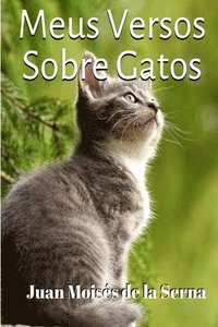 bokomslag Meus Versos Sobre Gatos