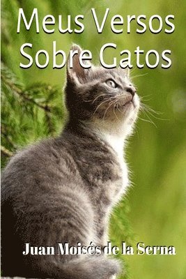 Meus Versos Sobre Gatos 1