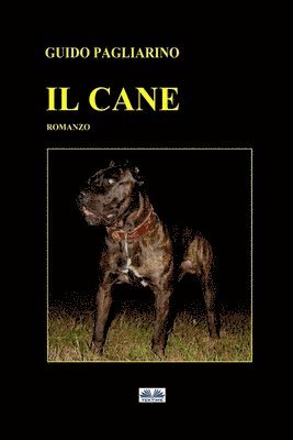 Guido Pagliarino - Cane, Häftad