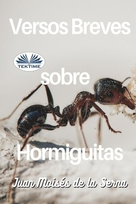 bokomslag Versos Breves Sobre Hormiguitas