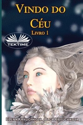 bokomslag Vindo do Céu Livro 1