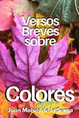 bokomslag Versos Breves Sobre Colores