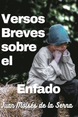 Versos Breves Sobre El Enfado 1