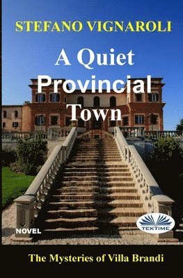 bokomslag A Quiet Provincial Town