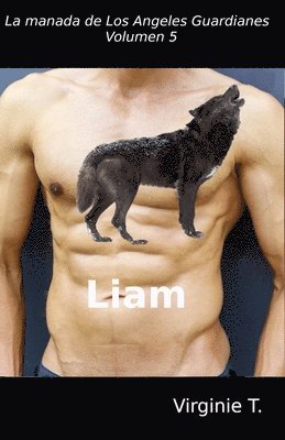 bokomslag Liam