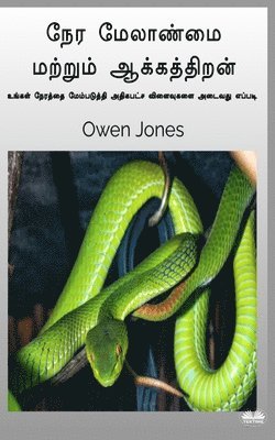 Owen Jones - நேர மேலாண்மை மற்றும் ஆக்கத்திறன், Häftad
