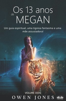 bokomslag Os 13 anos de Megan