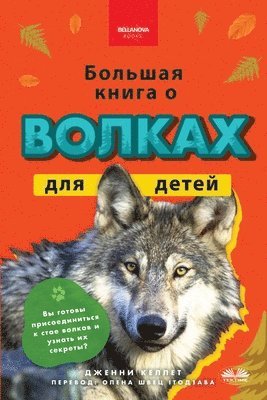 bokomslag ??????? ????? ? ?????? ??? ????? - 100+ ???????&#108