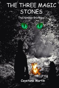 bokomslag The Three Magic Stones: The Nimbus Brothers