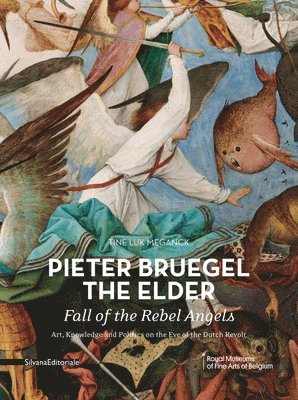 bokomslag Pieter Bruegel the Elder