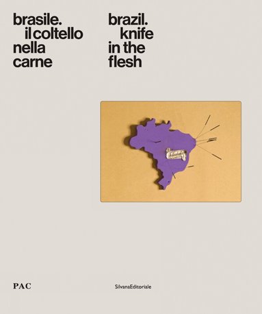 Jacopo Crivelli Visconti, Diego Sileo, Deigo Sileo - Brazil, Inbunden