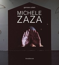 bokomslag Michele Zaza