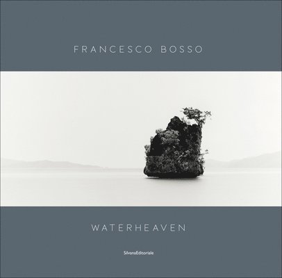 Francesco Bosso 1
