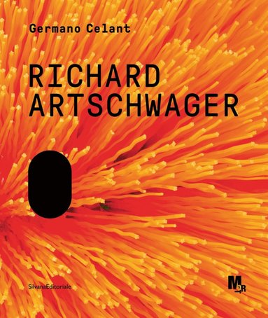 bokomslag Richard Artschwager