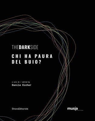 bokomslag Dark Side