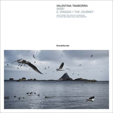 bokomslag Skrei - The Journey