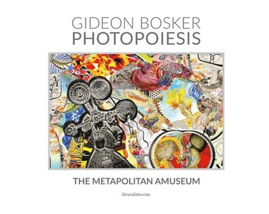 bokomslag Gideon Bosker: Photopoesis, the Metapolitan Museum