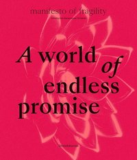 bokomslag A World of Endless Promise