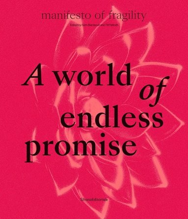 bokomslag A World of Endless Promise