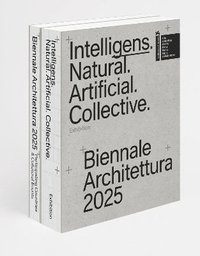 bokomslag Intelligens. Natural. Artificial. Collective.